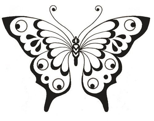 Шаблон крыльев бабочек 014