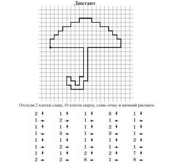 Схема для графического диктанта