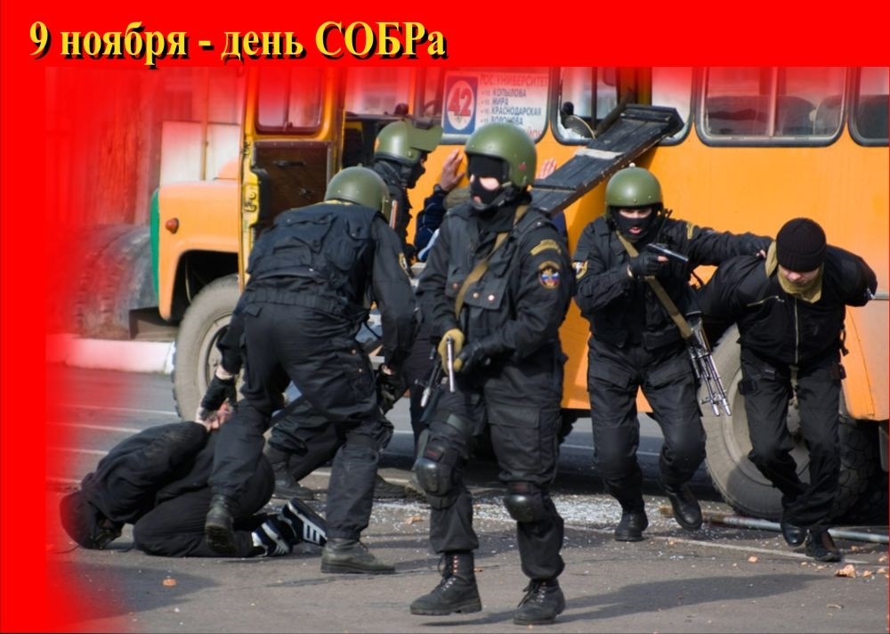 Собра 8