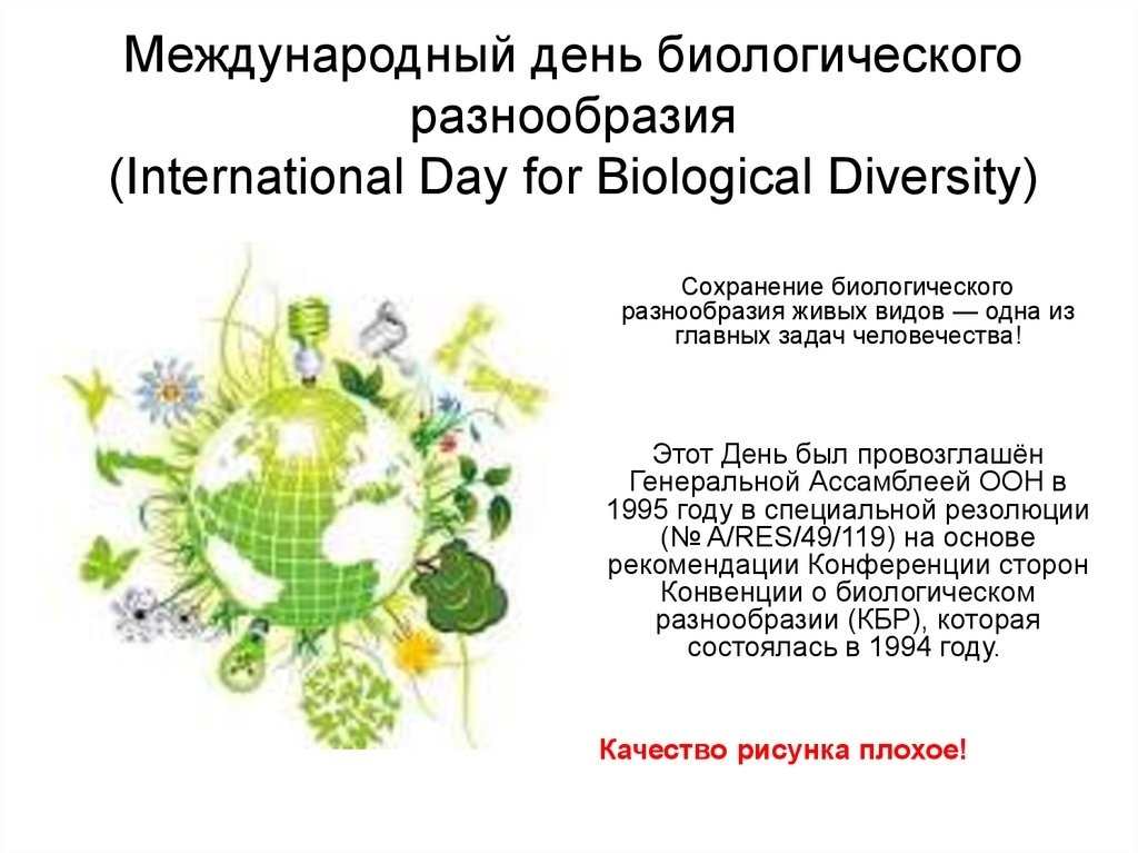 Презентация день биологического разнообразия