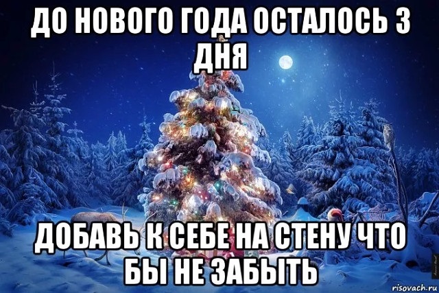 Остался один день до нового года