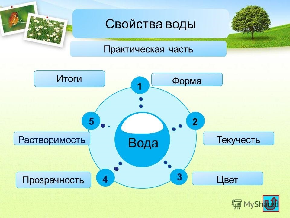 Вода физические и химические свойства воды презентация 10 класс естествознание