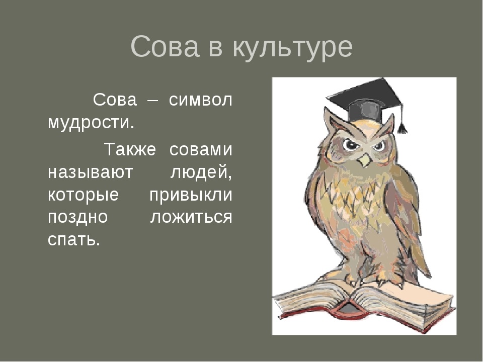 Картинки в строчке расставлены так как происходят события в сказке после того как сова обиделась