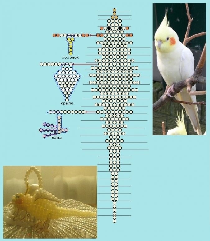 Схема плетения попугая бисером - 90 фото