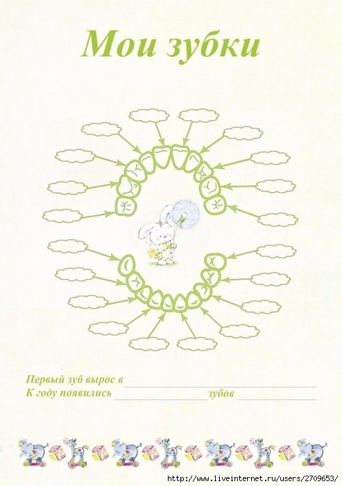 Первые зубки схема
