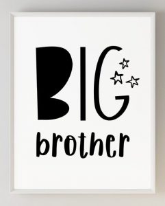 art big brother 016