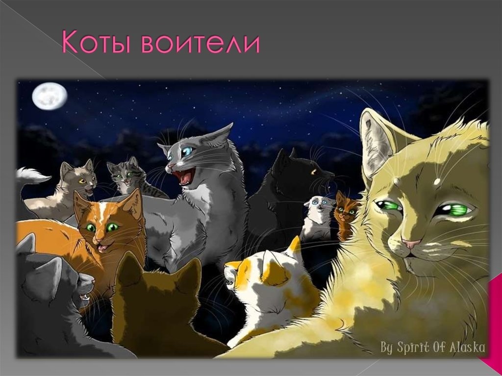 Коты воители текст. Дикие коты Воители. Имена котов воителей. Коты Воители имена. Коты Воители Россия.