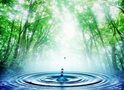 Всемирный день мониторинга качества воды 010