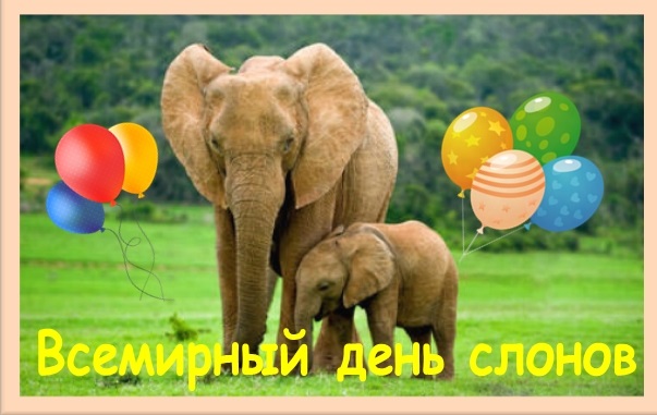 Всемирный день слонов 015