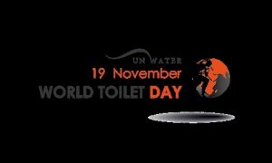 Всемирный день туалета (World Toilet Day) 020