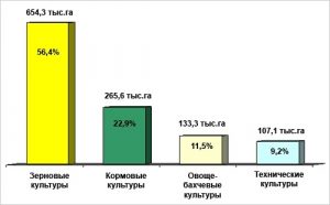 День работников сельского хозяйства, пищевой и перерабатывающей промышленности (Кыргызстан) 022