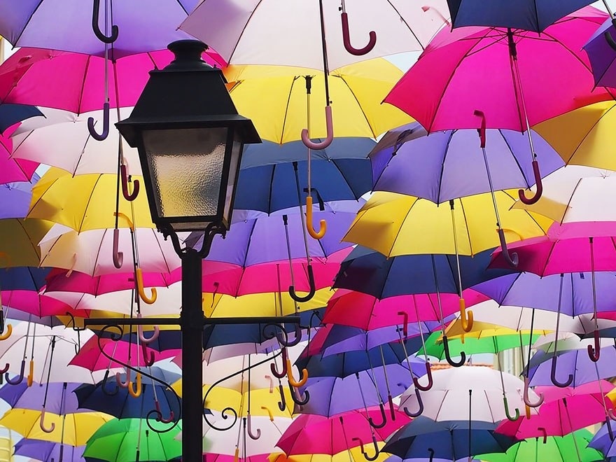 День разноцветных зонтов 017