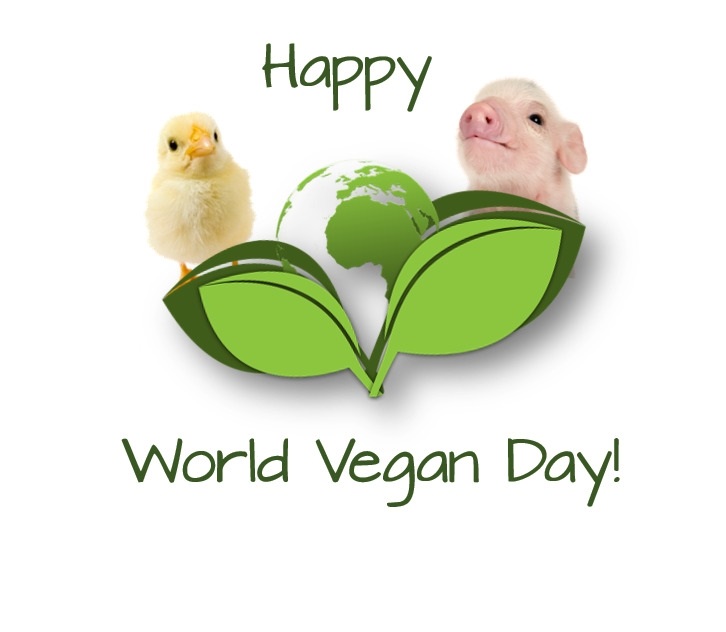 Международный веганский день (World Vegan Day)   красивая открытка 020