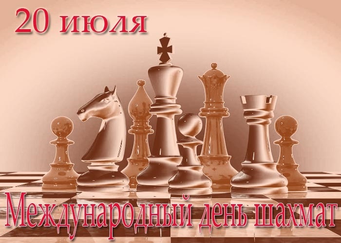 Международный день шахмат 007