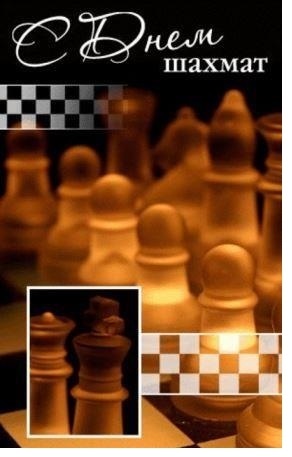 Международный день шахмат 023