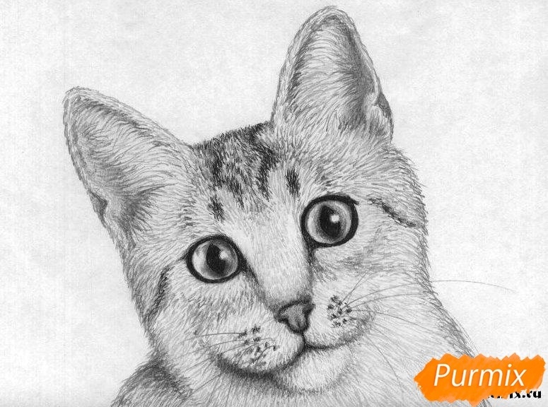 Рисунок египетской кошки 005