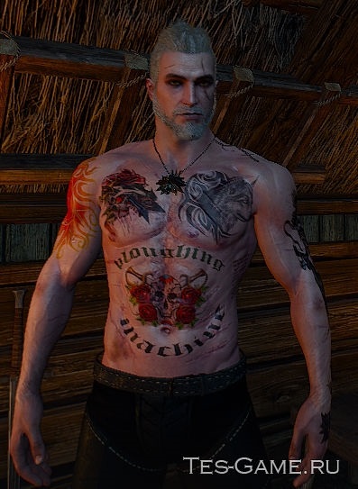 Татуировки ведьмак 3 009