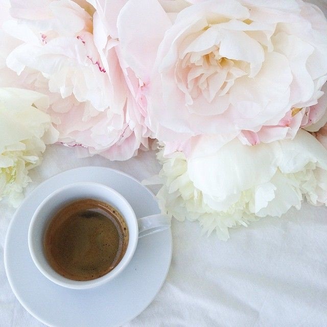 Утро нежность кофе картинки цветы017