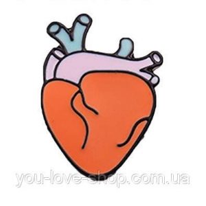 картинки анатомическое сердце 023