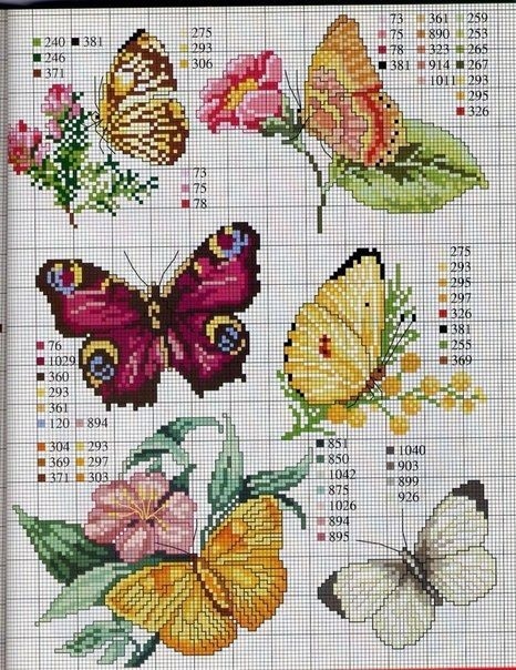 картинки для вышивки бабочки 011
