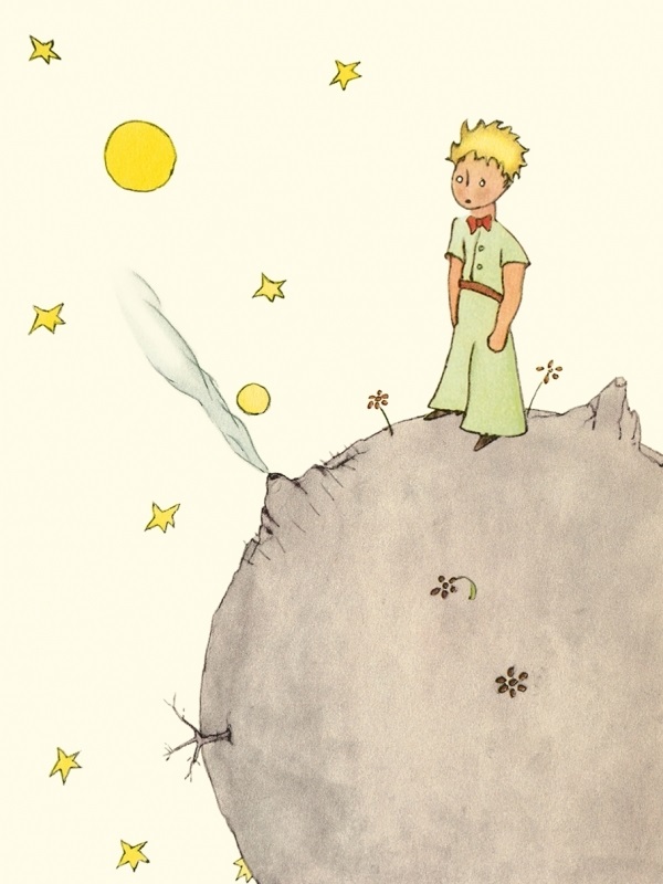 картинки маленький принц обложка книги 018
