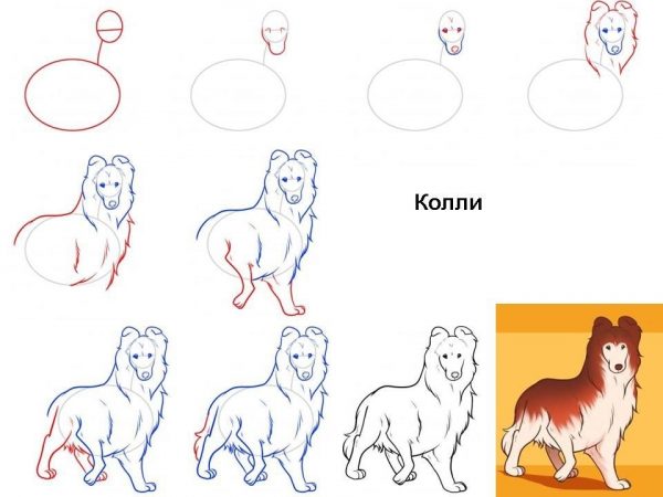 Рандомайзер картинок для рисования