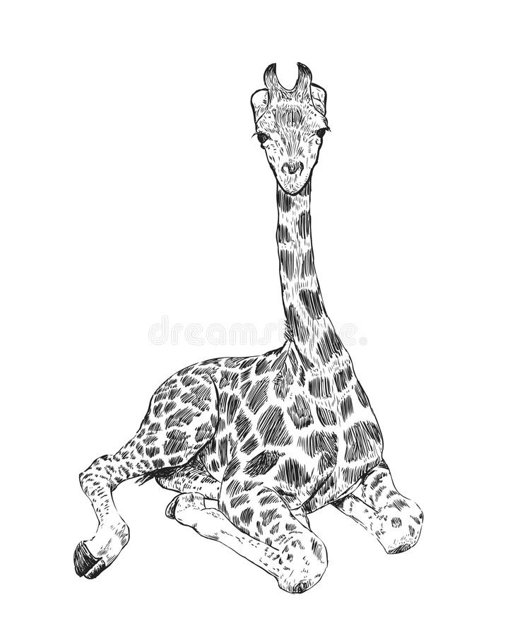нарисованный жираф 004