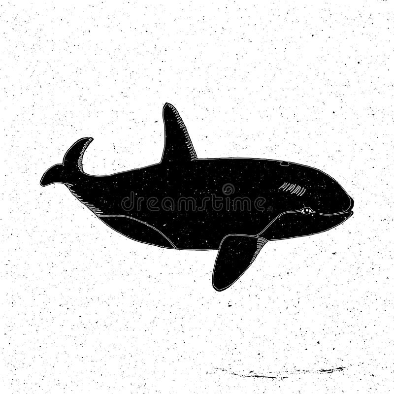 нарисованный кит 002