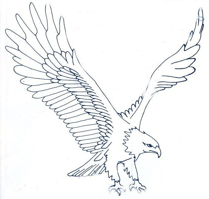 рисунок орла для выжигания 008