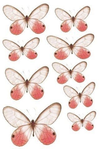 шаблоны бабочки для скрапбукинга 015