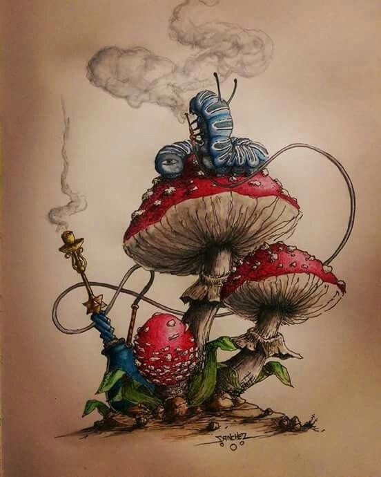 эскизы грибов 018