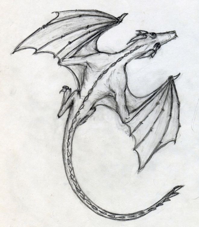 Картинки для срисовки драконов 022