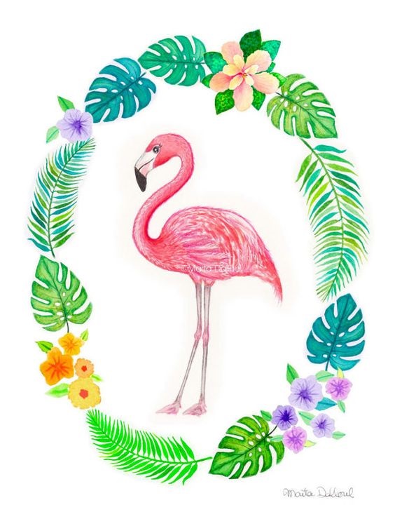 Красивые картинки фламинго на телефон 012