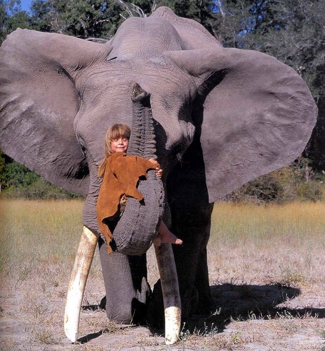 Красивые фото девушка на хоботе слона 001