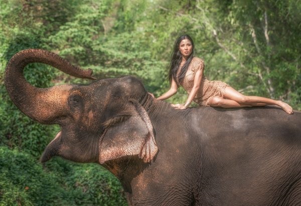 Красивые фото девушка на хоботе слона 002