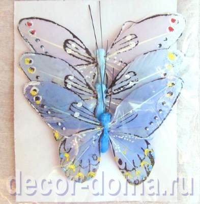 Милые картинки бабочки из перьев 006