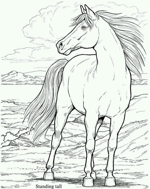 Рисунки лошадей для раскраски 016