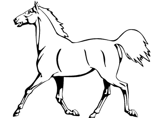 Рисунки лошадей для раскраски 029