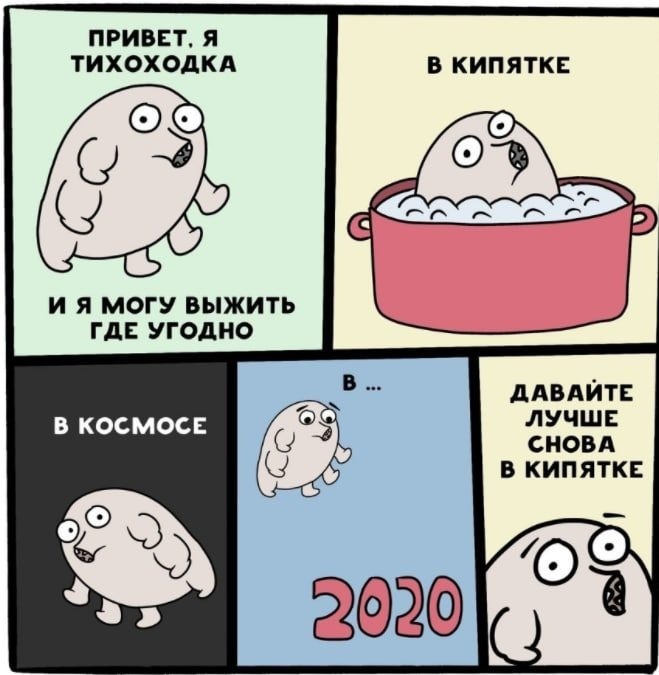 Мемы про уходящий 2020 год 25