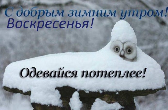 Картинки с добрым утром холодно прикольные одевайся