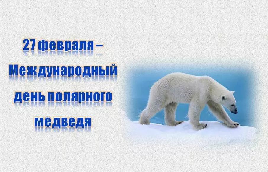 День белого медведя, красивые картинки поздравления 10