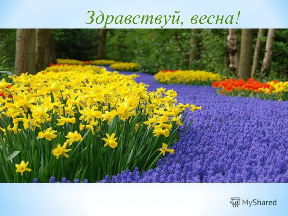 Красивые открытки Здравствуй Весна   подборка (19)