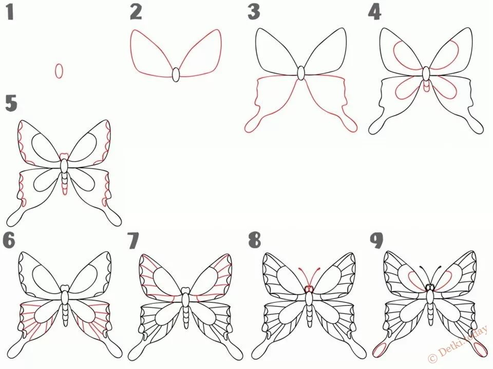 Бабочка рисунок для детей поэтапно карандашом