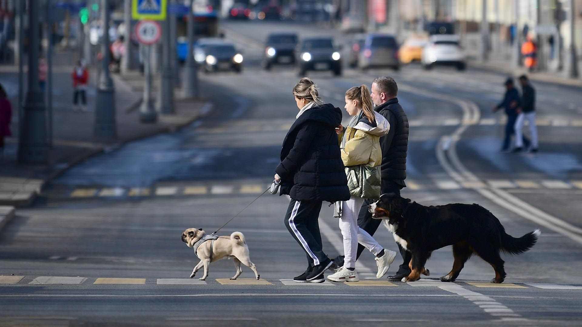 Прогулка юмор картинки