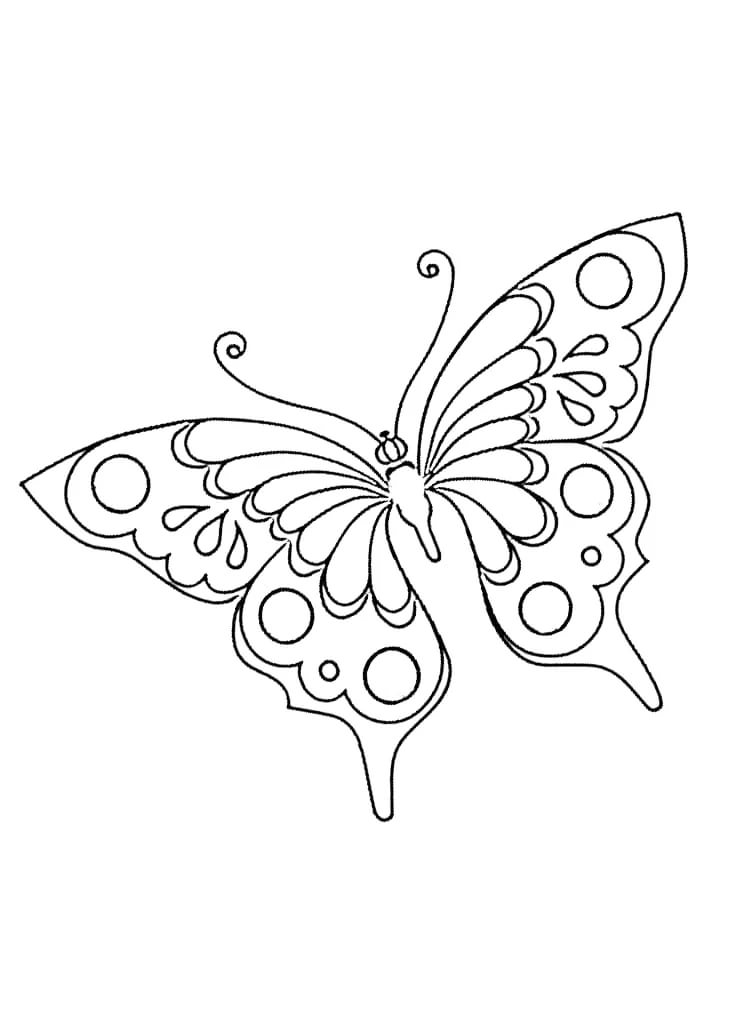 Карандашом бабочка рисунок для детей   подборка 18