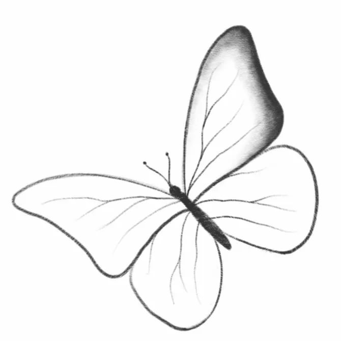 Карандашом бабочка рисунок для детей   подборка 31