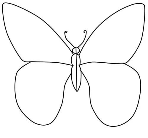 Карандашом бабочка рисунок для детей   подборка 33