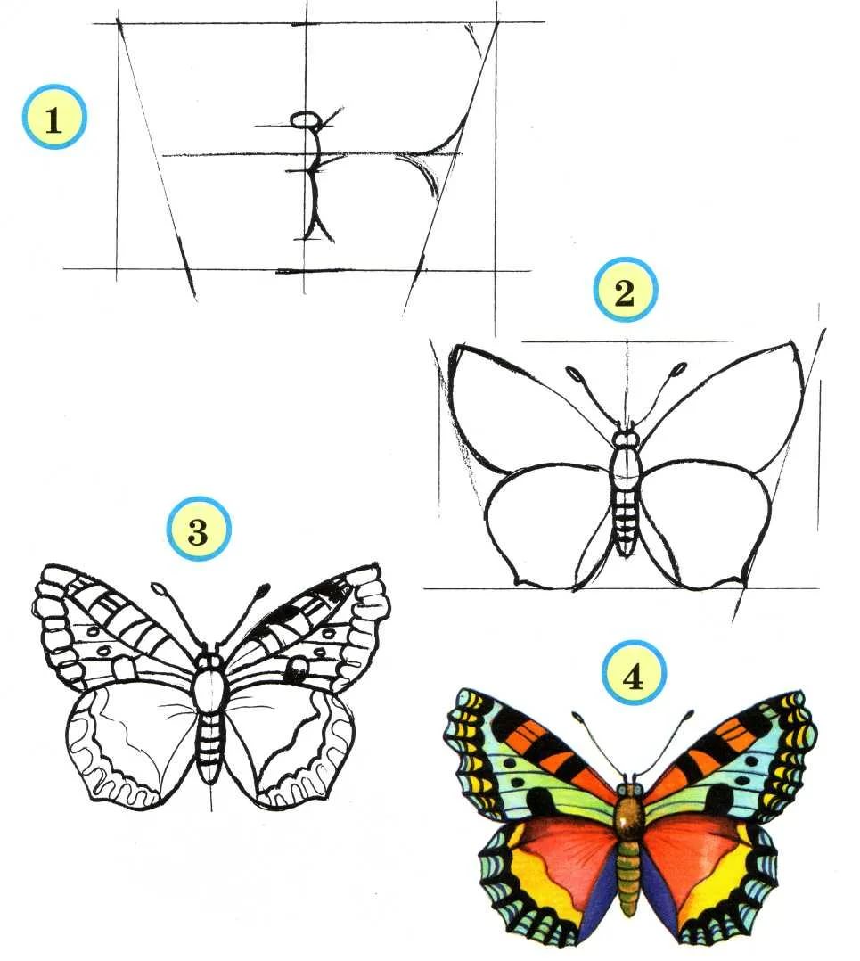 Рисуем бабочку поэтапно