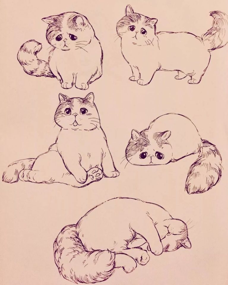 Много котов рисунок