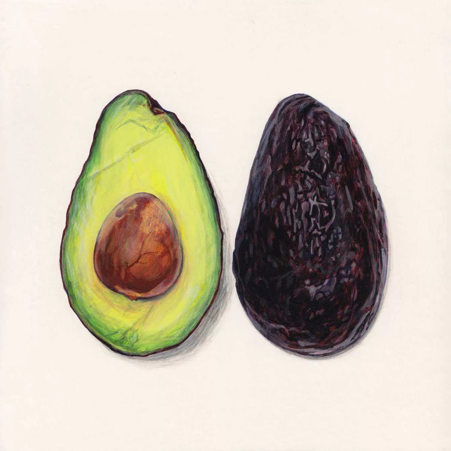 Авокадо рисунок